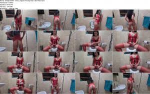 Kinkybitch69 - Sexy Lingerie Posing And Toilet Piss.ScrinList
