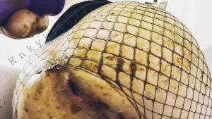 Knkykttn97 - Pooping Smearing In Fishnets 00002
