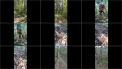 poop in 785675776the park.ScrinList