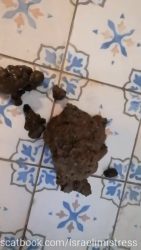 Eat it Darkfans Poop 65656756756on the Floor 00002