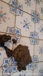 Eat it Darkfans Poop 65656756756on the Floor 00003