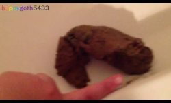 Let me Describe My Poop For You! 00000
