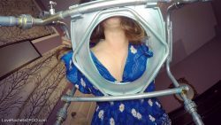 A Good Toile8678678678t Swallows 00001 A Good Toile8678678678t Swallows 00001