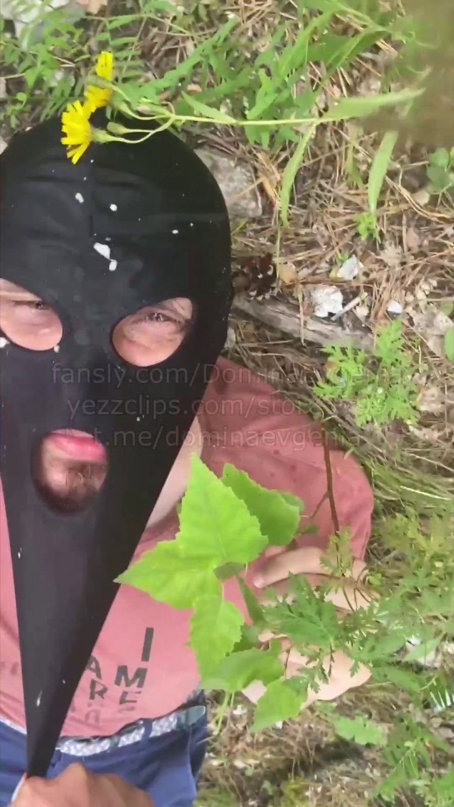 In The Mountains (Domina Evgenia) SD/331 MB