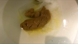 Classy N Gassy - Thick And Healthy While I Dirty Talk You-Copropro.Com- 00000 Classy N Gassy - Thick And Healthy While I Dirty Talk You-Copropro.Com- 00000