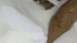 PooGirlSofia - EXTREME CLOSE UPS Of My Turds_-Copropro.Com- 00001 PooGirlSofia - EXTREME CLOSE UPS Of My Turds_-Copropro.Com- 00001