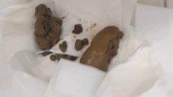 PooGirlSofia - EXTREME CLOSE UPS Of My Turds_-Copropro.Com- 00002 PooGirlSofia - EXTREME CLOSE UPS Of My Turds_-Copropro.Com- 00002