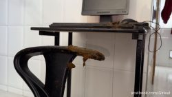 Sirena Rozhevy - I Ruined My Computer With This Dirty Game.-Copropro.Com- 00002