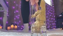 elite_monarch - Shitting Feeding 00002