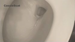Toilet Shitting and Leaving Poop Streaks 00001