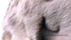 Pussy Crea7696098707m and a THICK Choco Log 00002